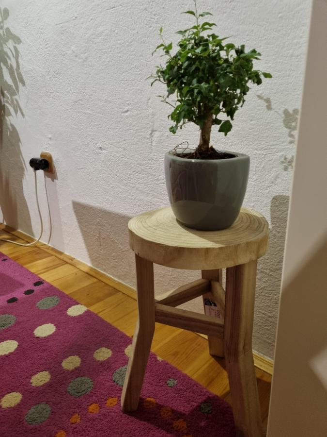 Martin'S House Apartment Bagian luar foto